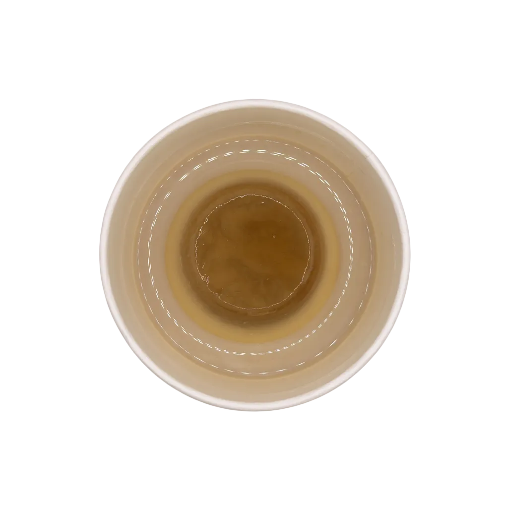 Crème Caramel