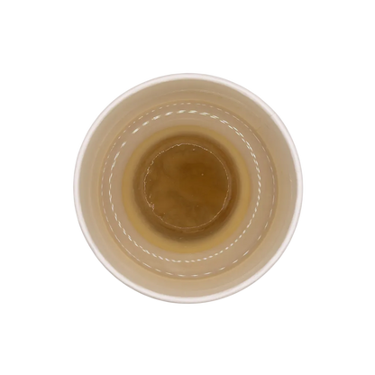 Crème Caramel